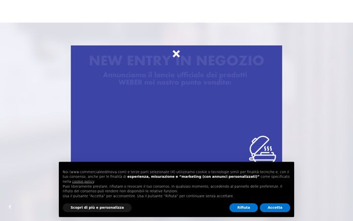 Ekrano kopija commercialeedilnova.com