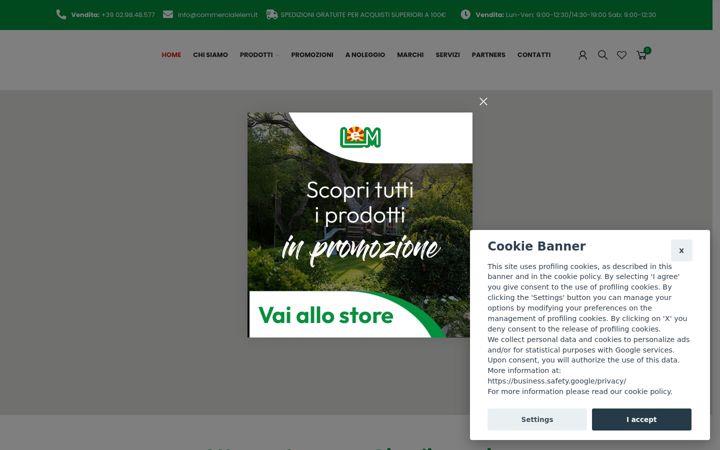 Screenshot of commercialelem.it