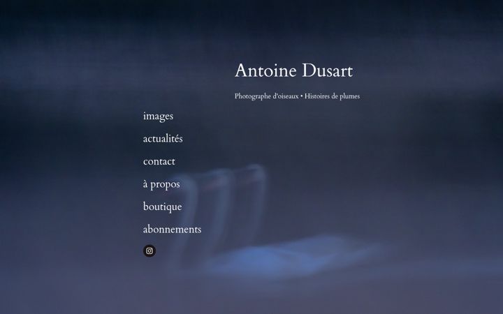 Screenshot of commeunpinson.fr