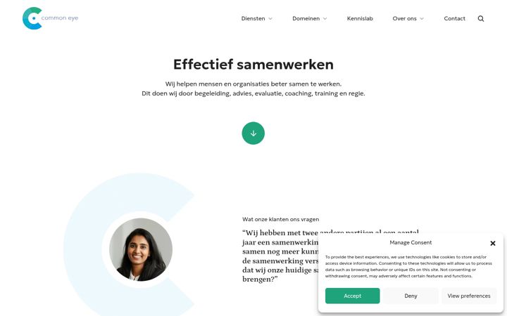 Screenshot of commoneye.nl