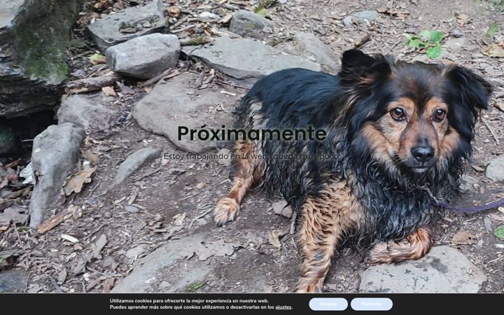 Screenshot of comoanimales.com