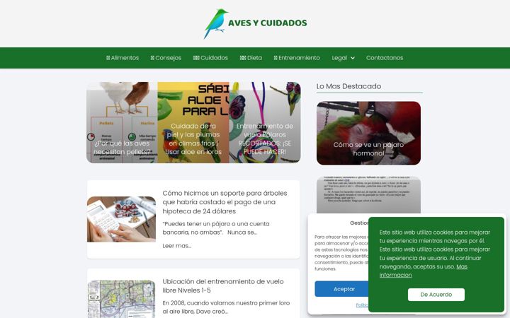Screenshot of comocuidarunave.top