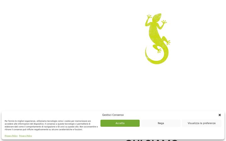 Екранна снимка на compagniadelgecko.it
