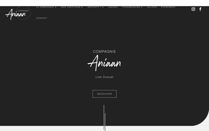 Screenshot ta' compagnieaniaan.fr