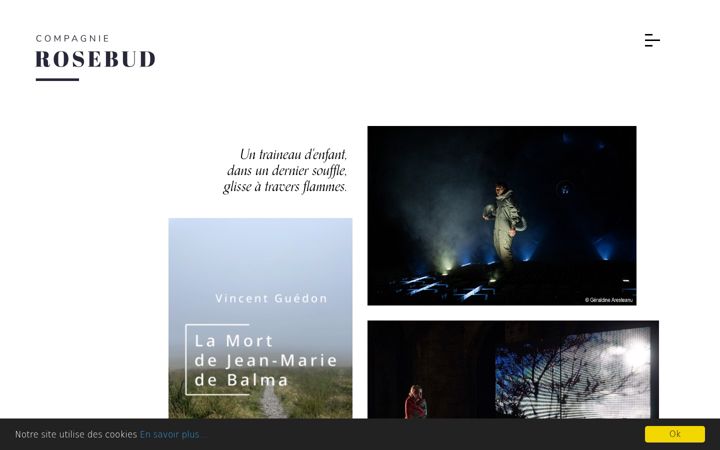 Screenshot of compagnierosebud.com