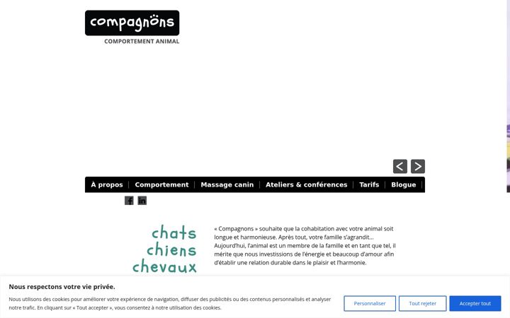 Screenshot of compagnonscomportementanimal.com