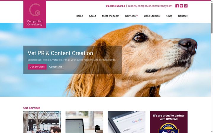 Ekrano kopija companionconsultancy.co.uk