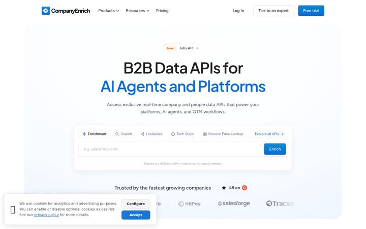 Screenshot of companyenrich.com