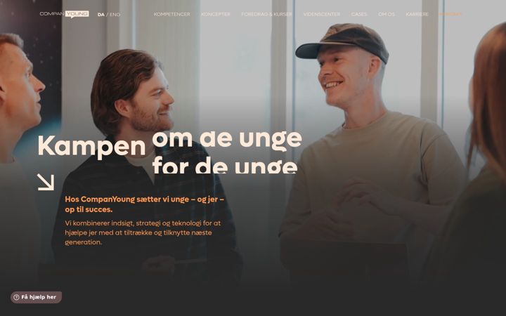 Screenshot of companyoung.com