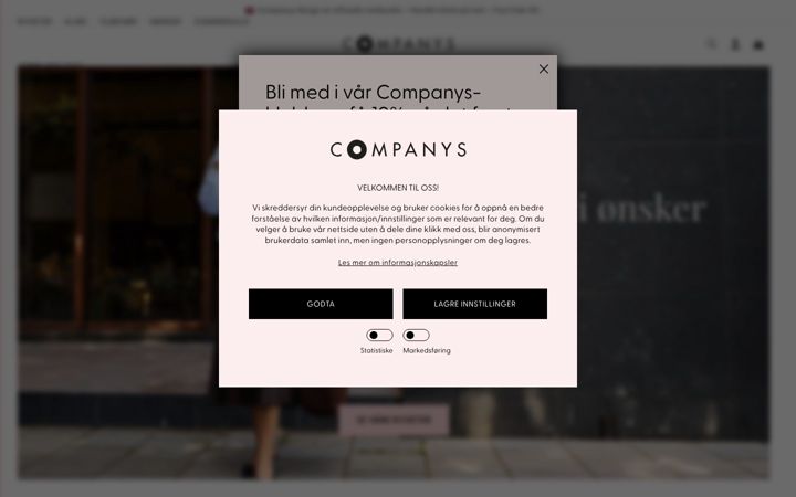 Screenshot of companys.no