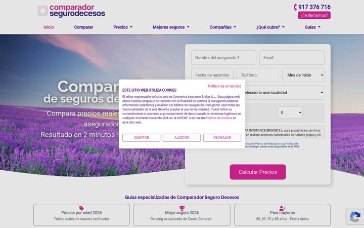 Screenshot of comparadorsegurodecesos.es