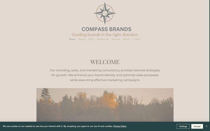 Ekrano kopija compassbrands.co.uk