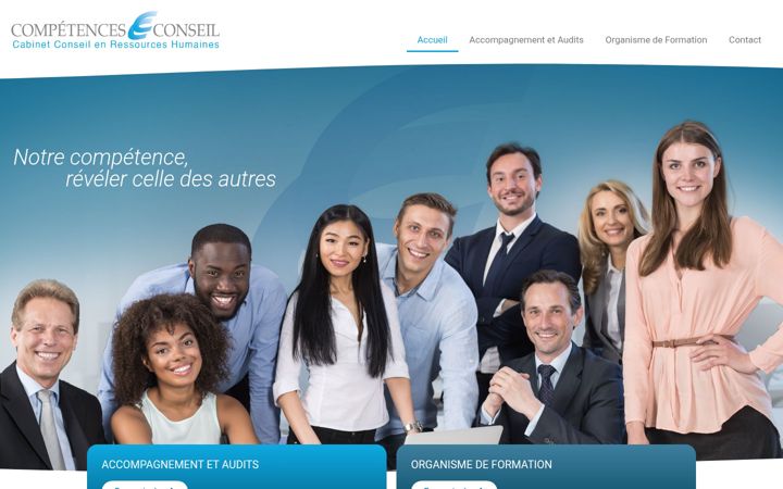Screenshot of competences-conseil.com