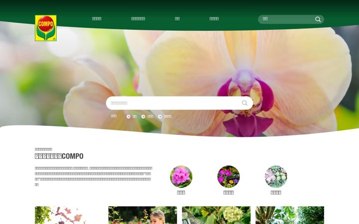 Screenshot of compo-china.com