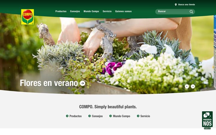 Screenshot of compo.es