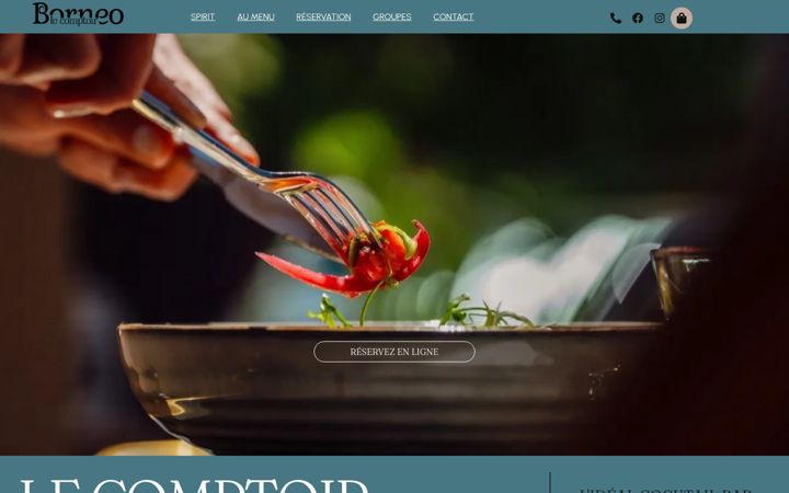 Screenshot ta' comptoirborneo.fr