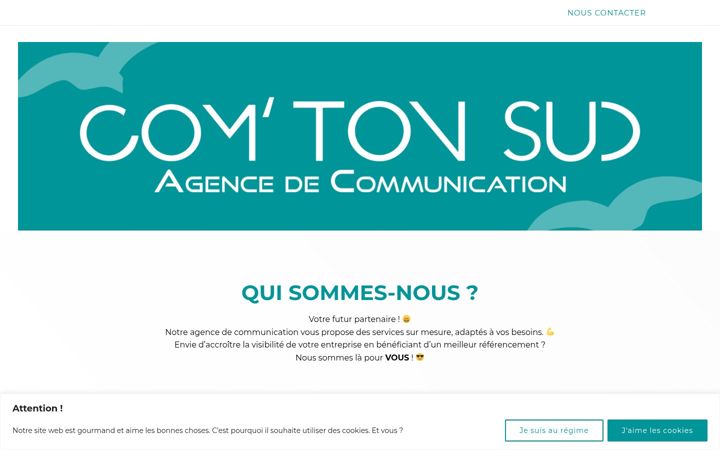 Screenshot of comtonsud.fr