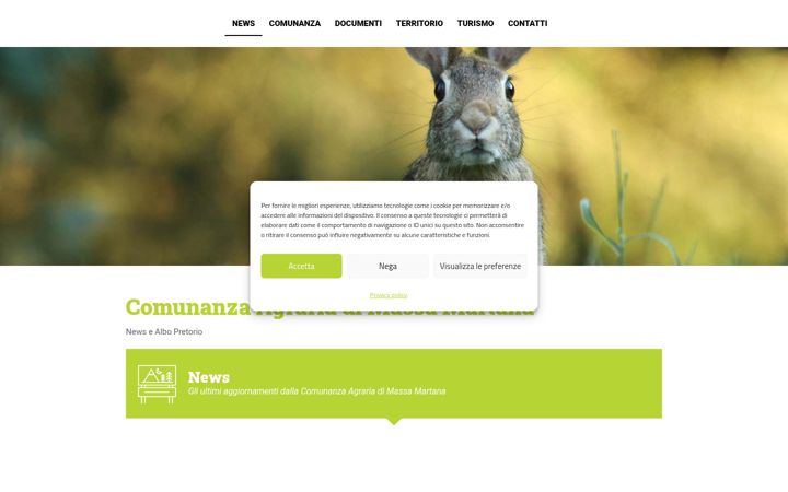 Screenshot of comunanzaagrariamassamartana.it