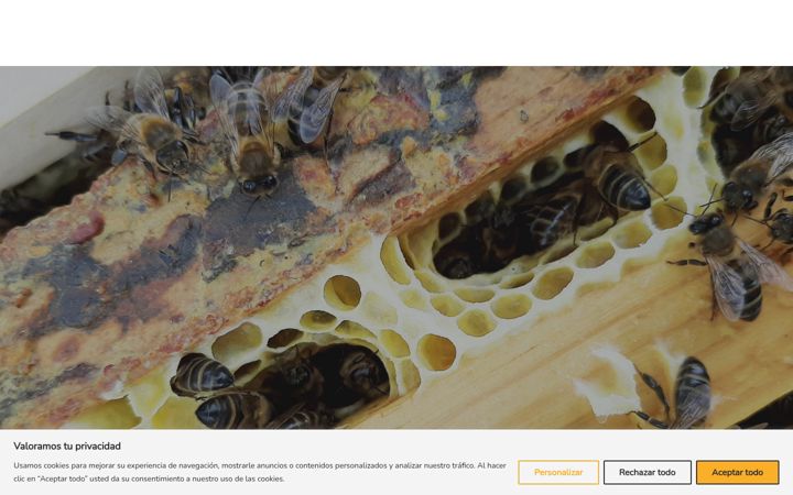 Screenshot of con5colmenas.es