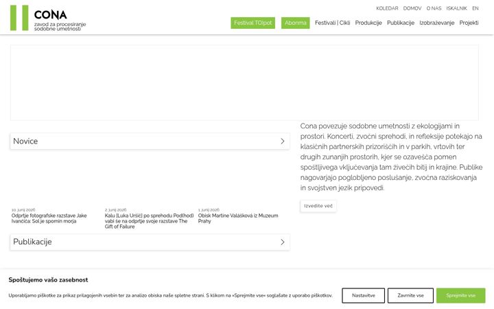 Screenshot of cona.si
