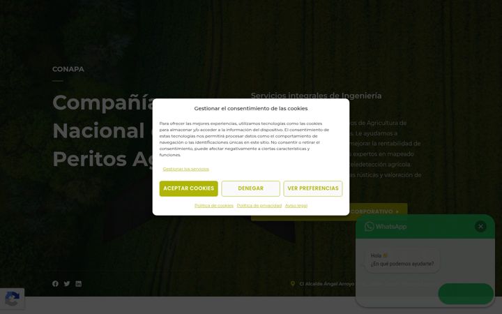 Screenshot of conapa.es