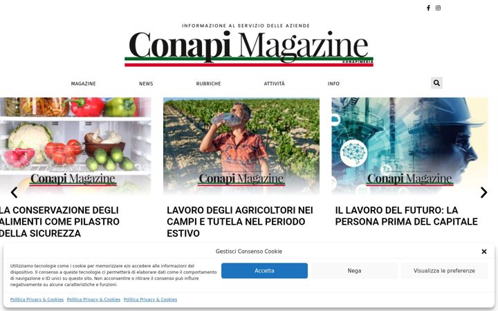 Screenshot of conapimagazine.it