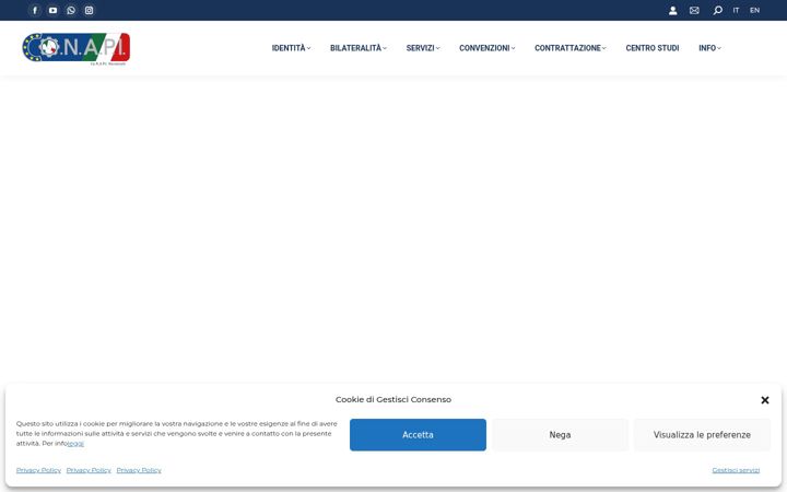 Screenshot of conapinazionale.it
