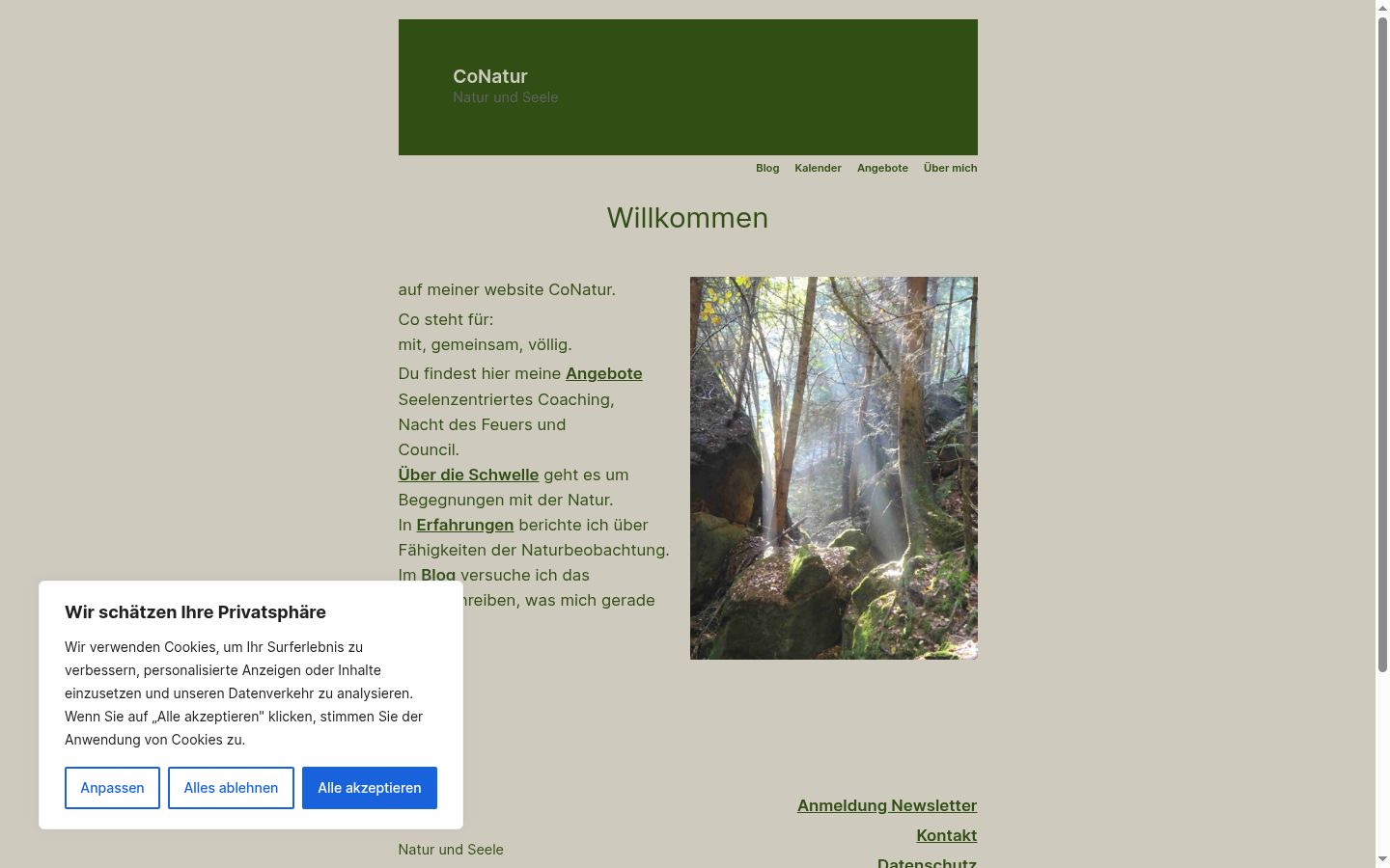 Screenshot des Einwilligungsbanners vor jeglicher Interaktion