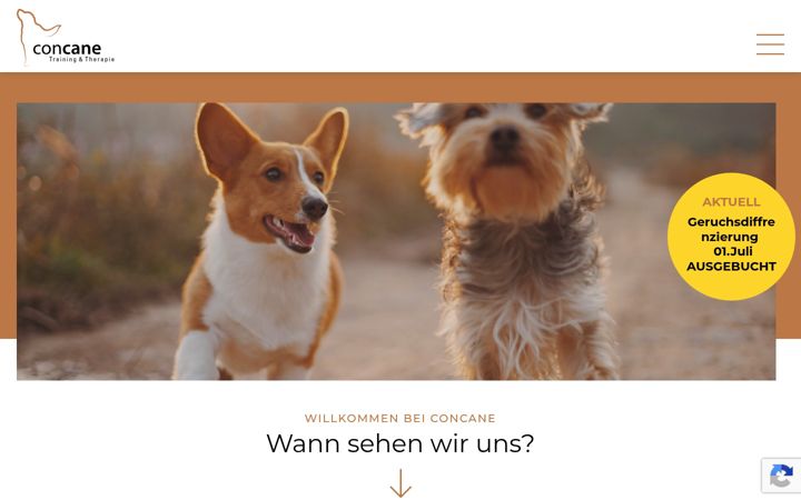 Screenshot of concane.ch