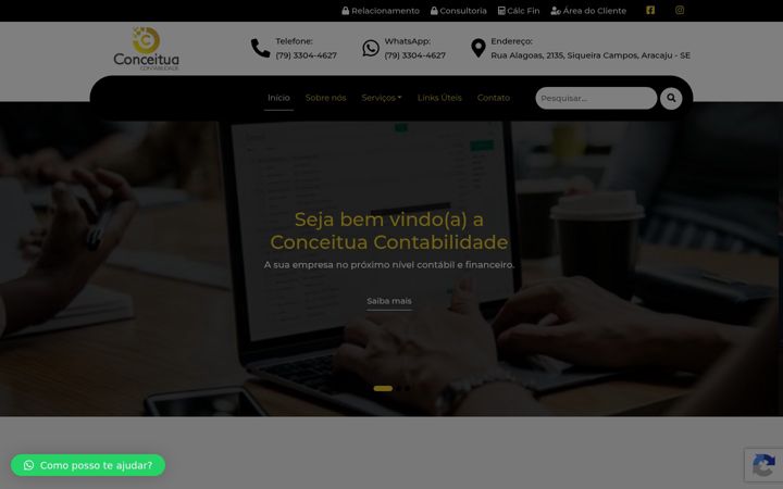 Képernyőkép: conceitua.cnt.br