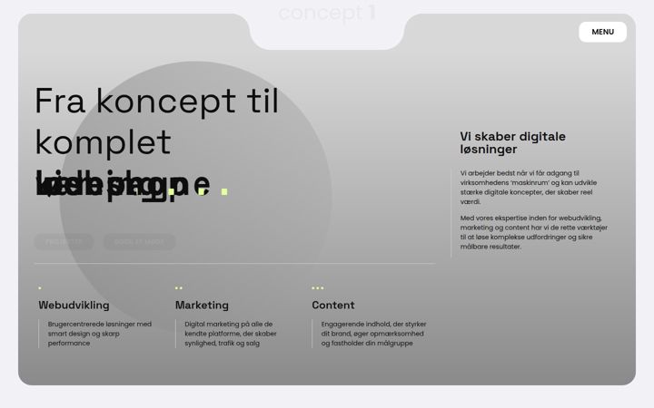 Screenshot von concept1.dk