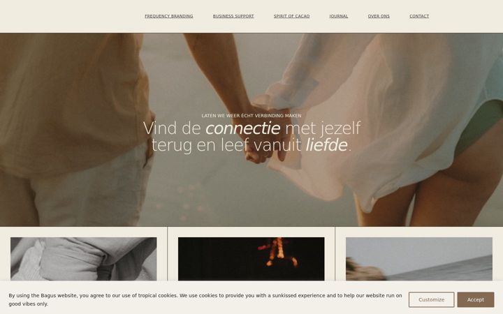 Skærmbillede af conceptbagus.nl