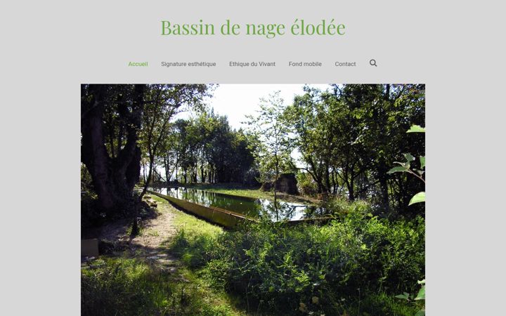 Screenshot of conceptelodee.fr