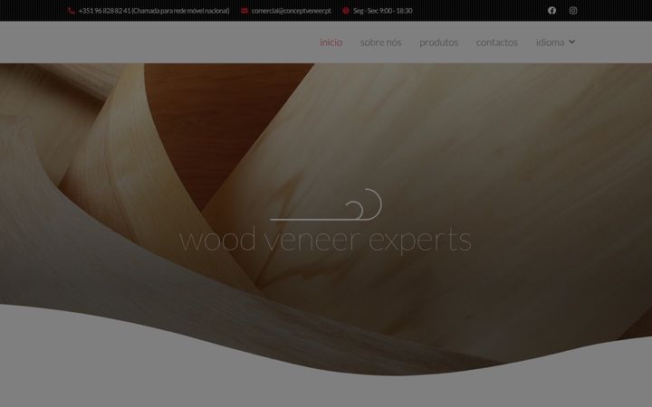 Screenshot of conceptveneer.pt