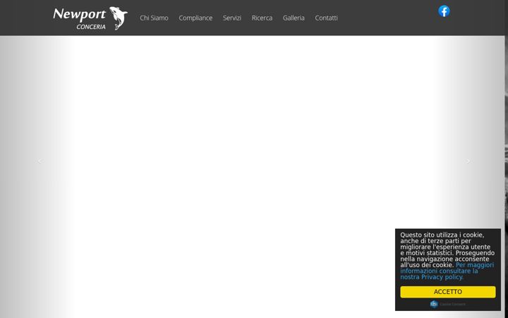 Screenshot of concerianewport.it