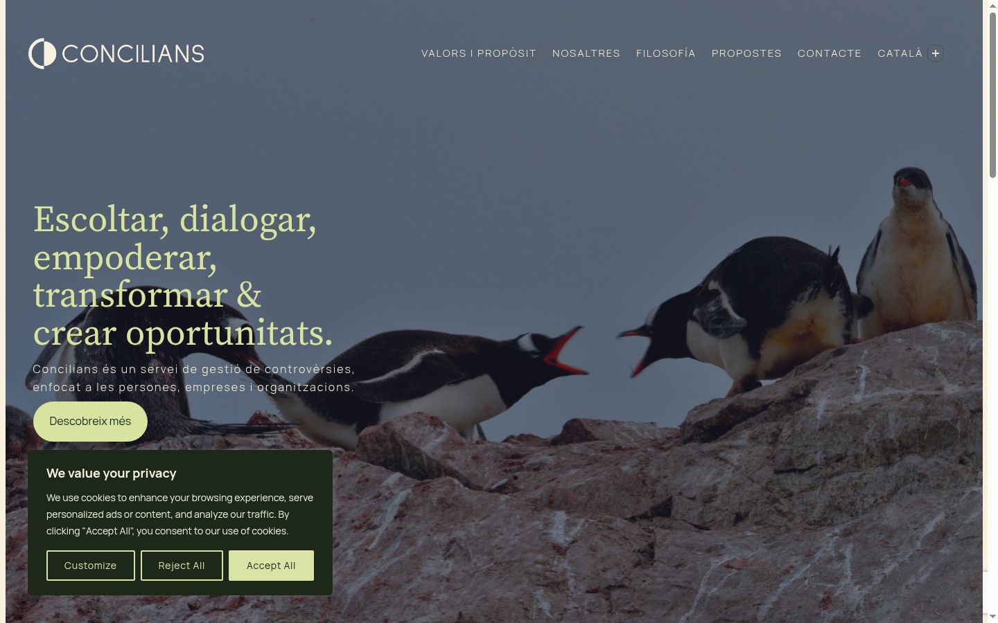Screenshot van de toestemmingsbanner zoals getoond vóór enige interactie