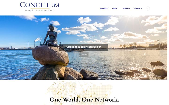 Screenshot of conciliumglobal.net