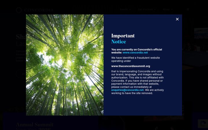 Screenshot of concordia.net