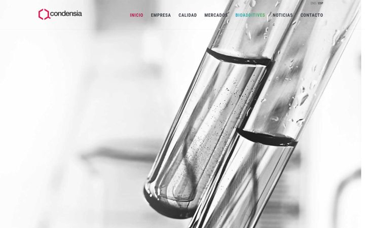 Screenshot of condensia.com