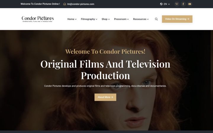 Screenshot of condor-pictures.com