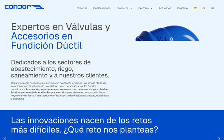 Screenshot of condorws.com