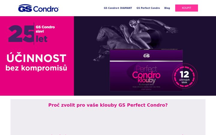 Screenshot van condro.cz