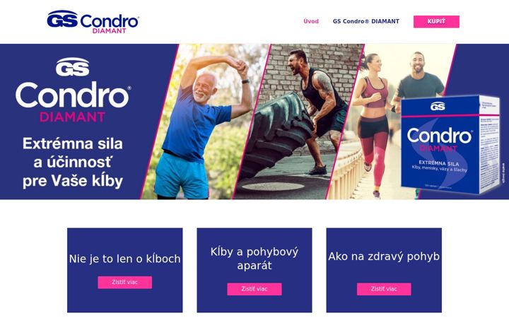 Screenshot of condro.sk