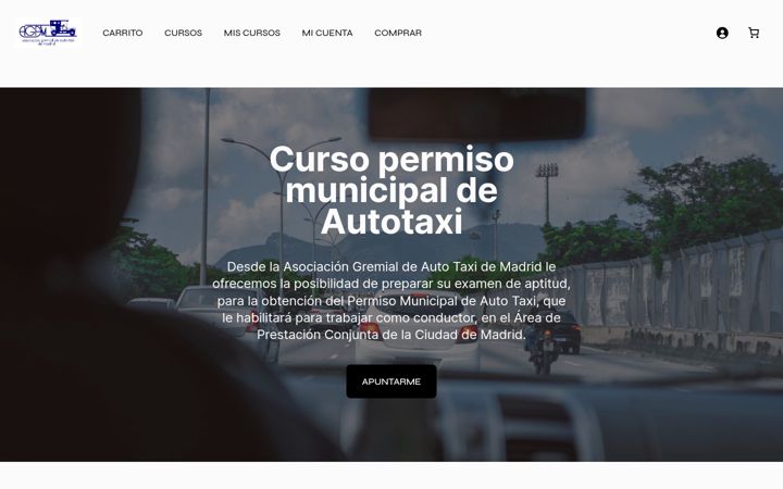 Screenshot of conductor-taxi-madrid.es