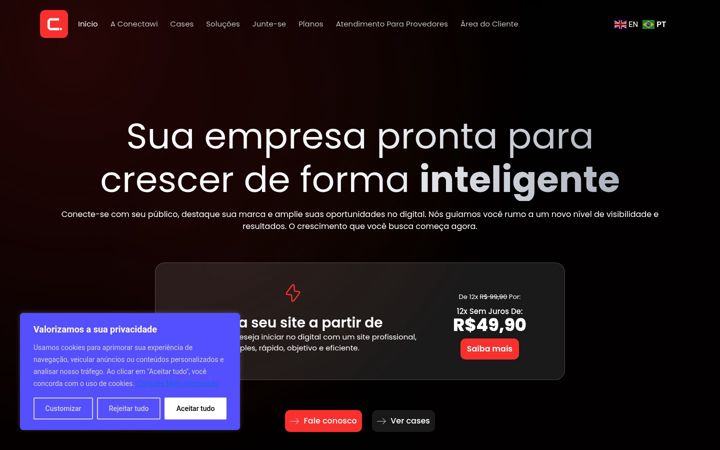 Screenshot di conectawi.com.br