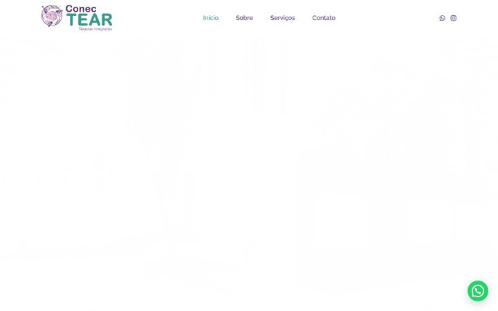 Screenshot di conectear.com.br