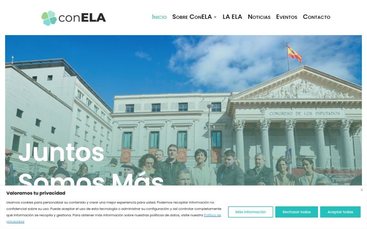 Zrzut ekranu conela.org