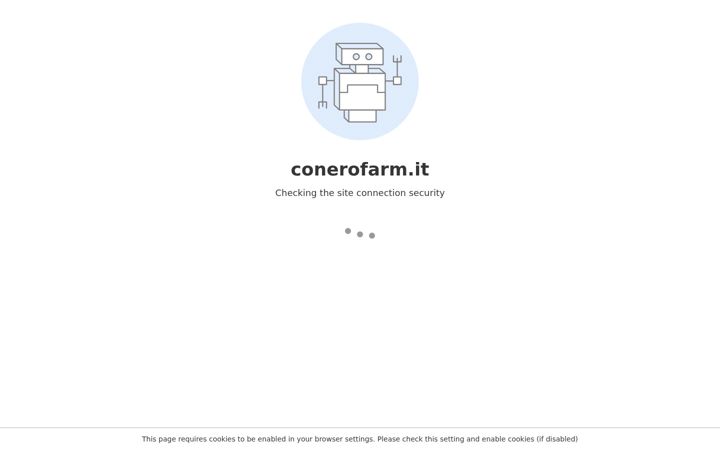 Screenshot of conerofarm.it