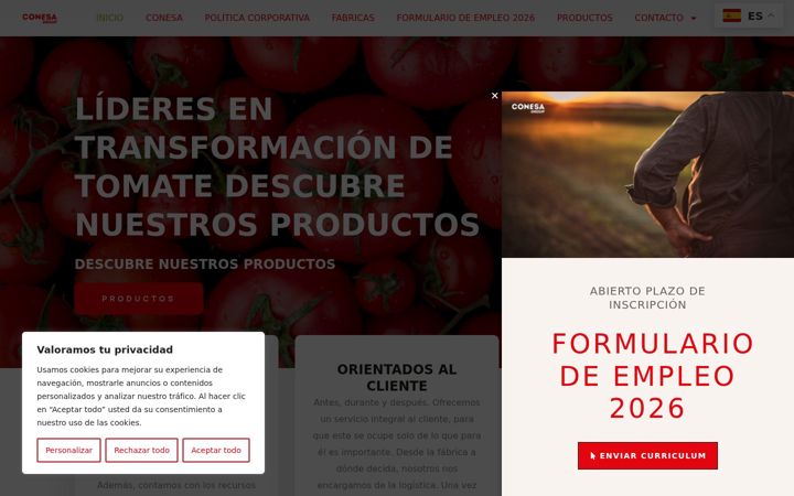 Screenshot of conesagroup.com