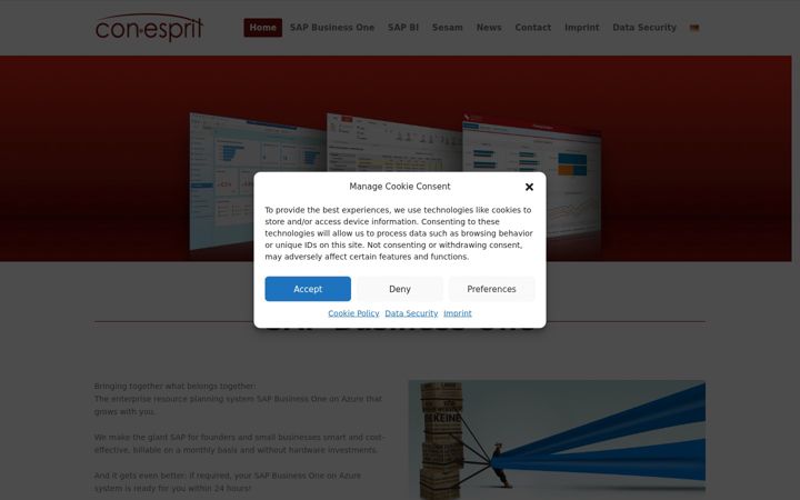 Screenshot of conesprit.de